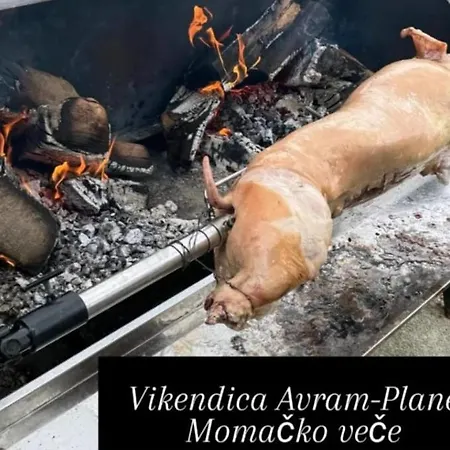 Vikendica Avram-plane